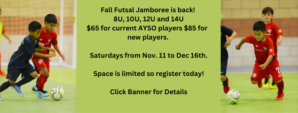 AYSO Futsal